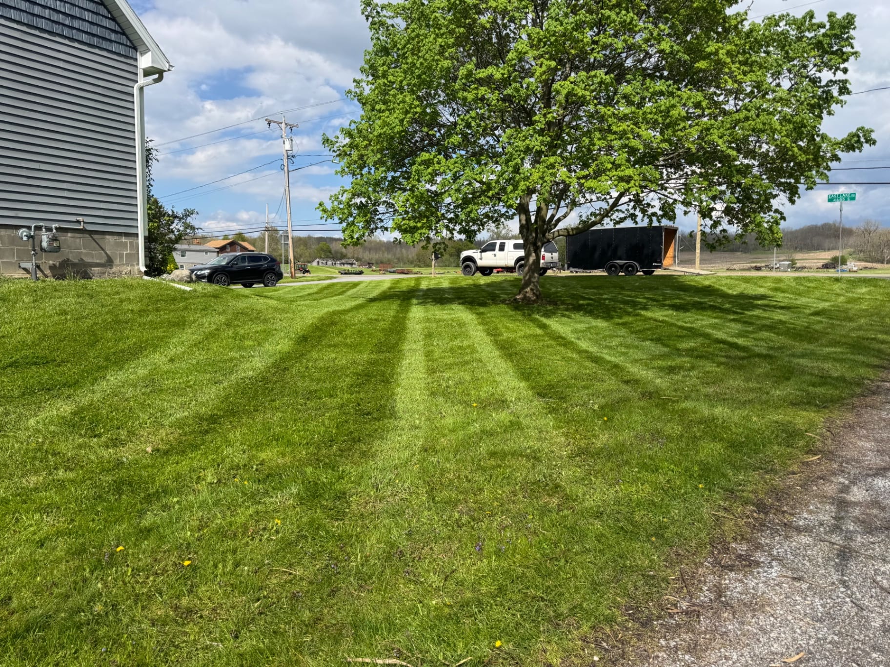 Wide striped lawn beneath a shade tree beside the driveway