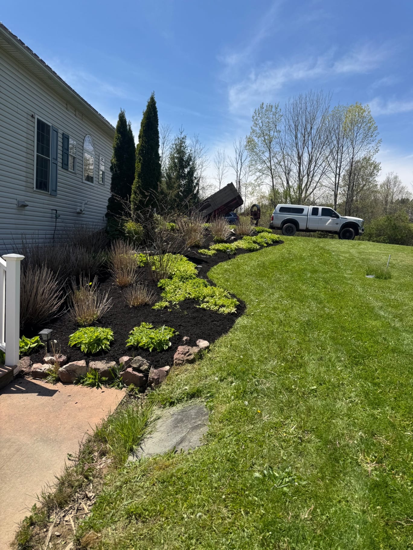 Mulched foundation bed with shrubs and curved lawn edge