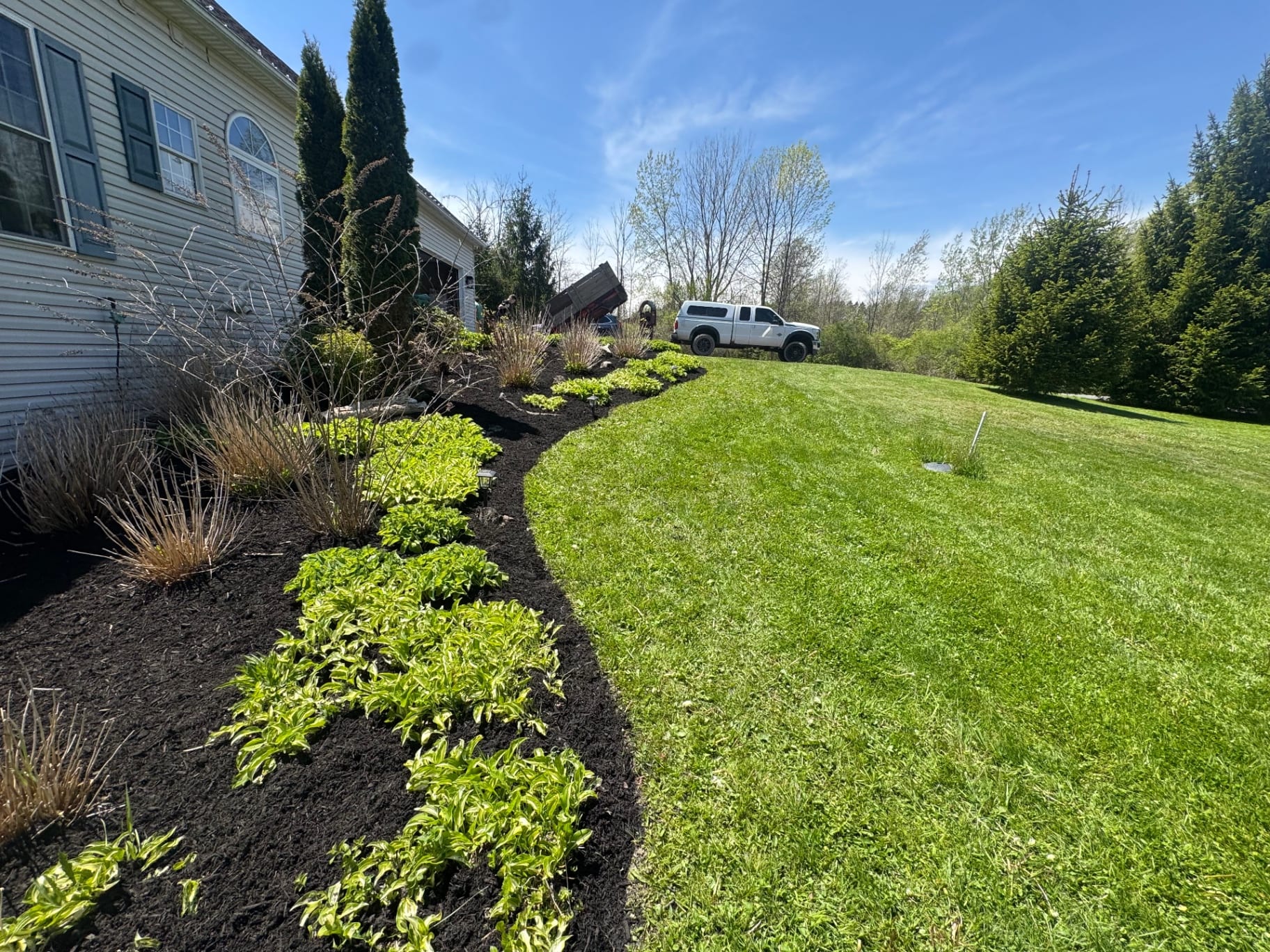 Wide view of a manicured lawn and newly mulched landscape border
