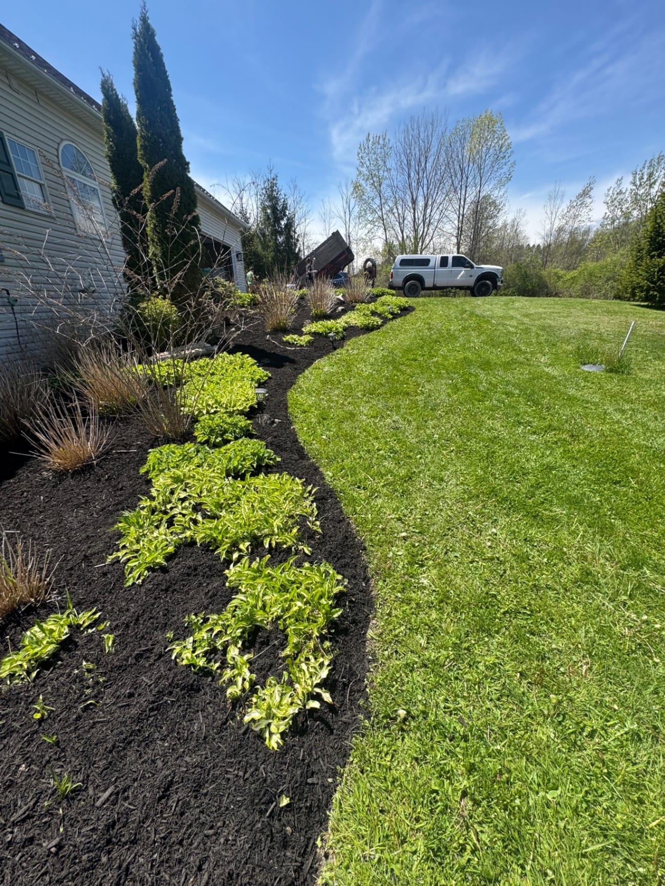 New black mulch bed with curved edge beside a green lawn