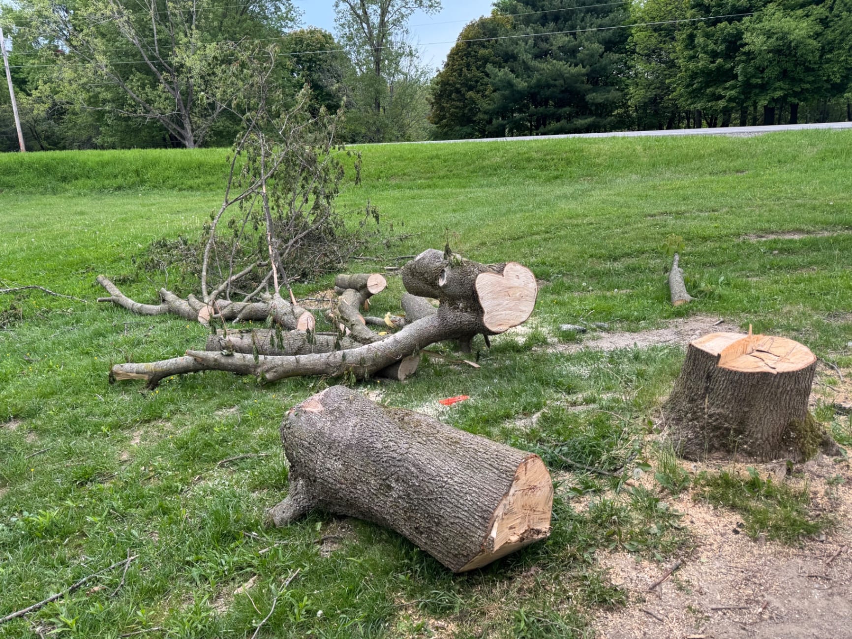 Tree removal cleanup with cut trunk sections and branches stacked on lawn