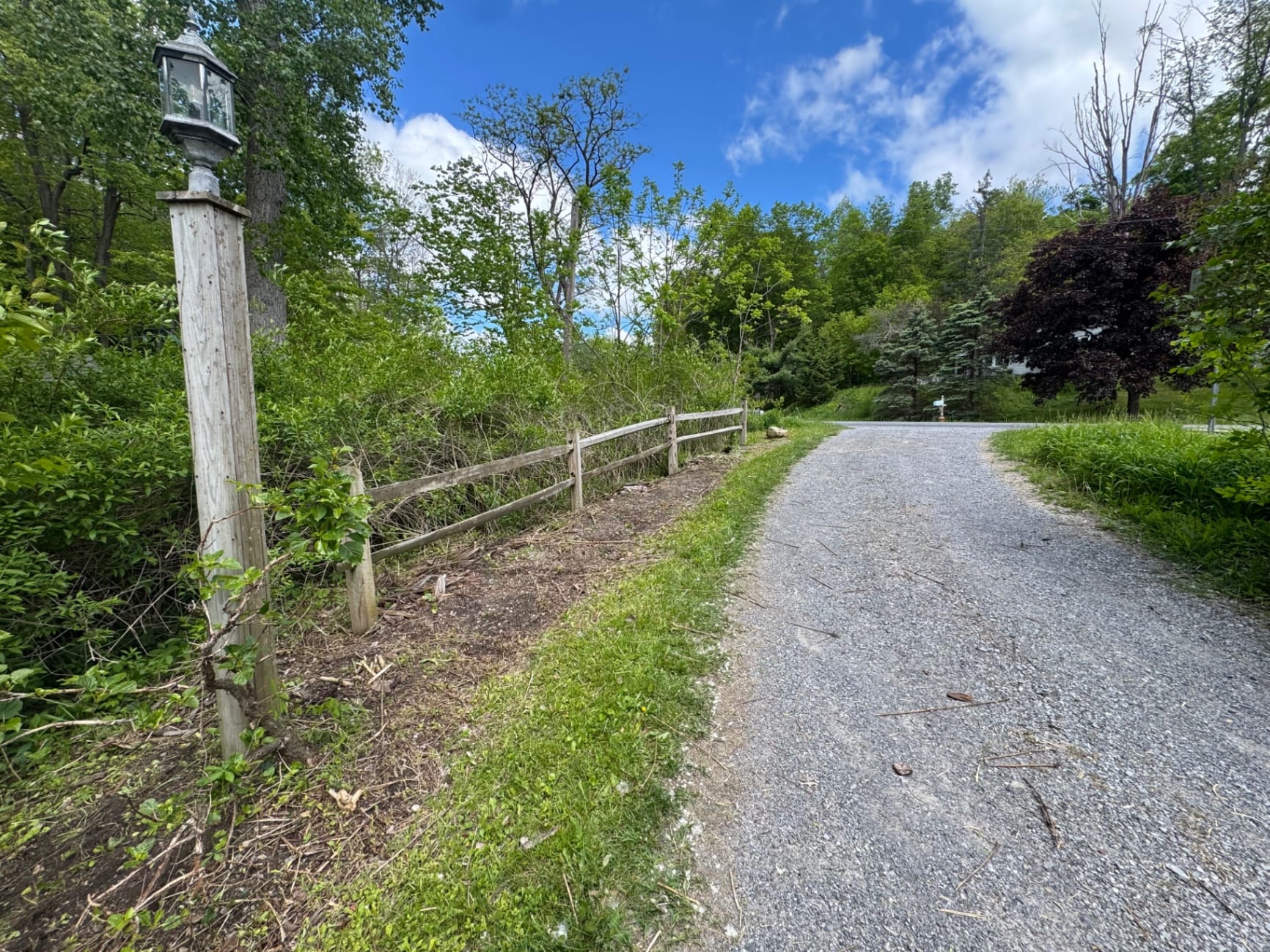 Gravel driveway and natural border bed before cleanup